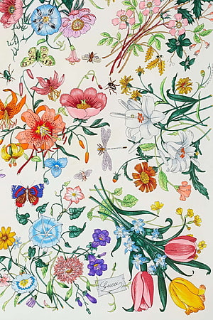 Gucci Botanical Illustration Featuring Lilies, Tulips, and Butterflies on a Cream Background HD phone wallpaper