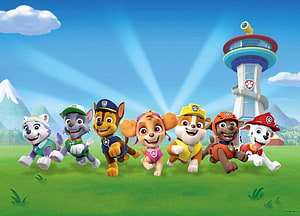 Paw Patrol pups running across a sunny meadow with the Lookout Tower in the background HD wallpaper