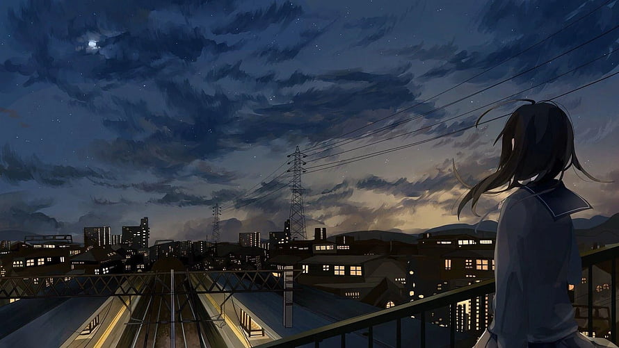 Anime Girl Gazing at a Starry Night Cityscape from a Rooftop HD wallpaper