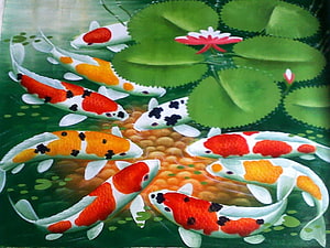 Colorful Koi Fish Swimming in a Lotus Pond with Lilies and Pebbles HD wallpaper
