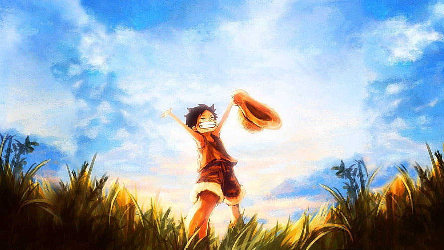 Young Luffy in a Sunny Grass Field Under a Bright Blue Sky HD wallpaper