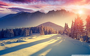 Snow-Covered Mountain Landscape at Sunset with Pine Forest and Golden Light HD wallpaper