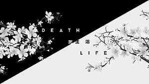 Monochrome Cherry Blossom Branches with Death and Life Typography on Diagonal Split Background HD wallpaper