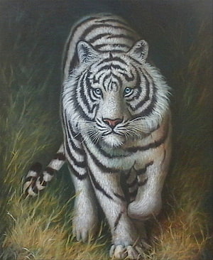 Realistic Oil Painting of a White Tiger Walking Through Tall Grass HD phone wallpaper