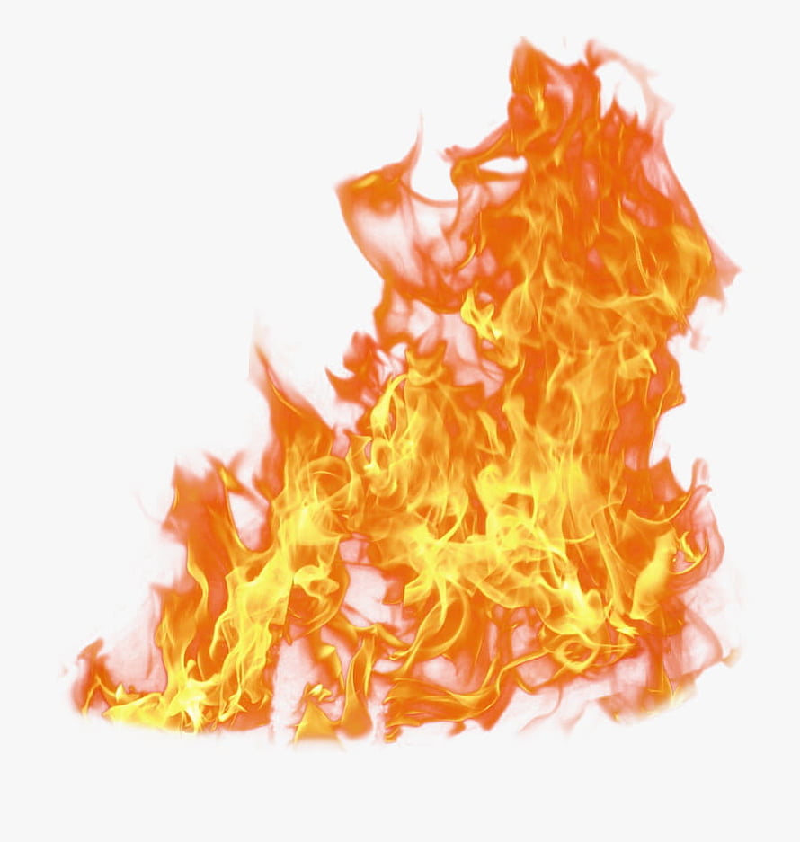 Vibrant Orange and Yellow Fire Flames on White Background HD phone wallpaper