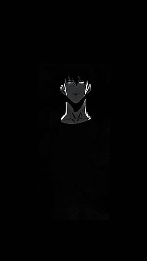 Solo Leveling Anime Character Portrait in Dramatic Black and White Shadow Style HD phone wallpaper