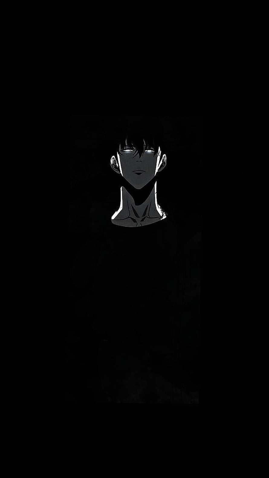 Solo Leveling Anime Character Portrait in Dramatic Black and White Shadow Style HD phone wallpaper