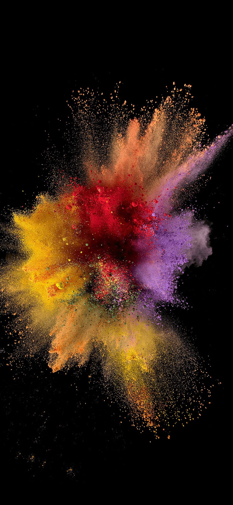 Vibrant multicolored powder explosion on black background HD phone wallpaper