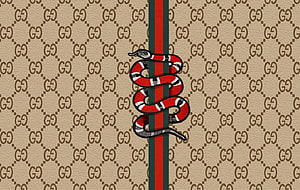 Gucci Snake Emblem on Classic GG Monogram Canvas with Web Stripe HD wallpaper