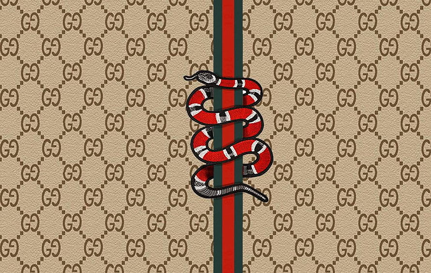 Gucci Snake Emblem on Classic GG Monogram Canvas with Web Stripe HD wallpaper