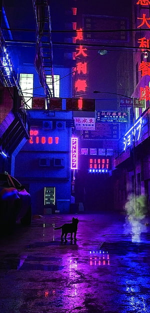 Cyberpunk Alley with Neon Signs and a Silhouetted Cat on a Rainy Night HD phone wallpaper