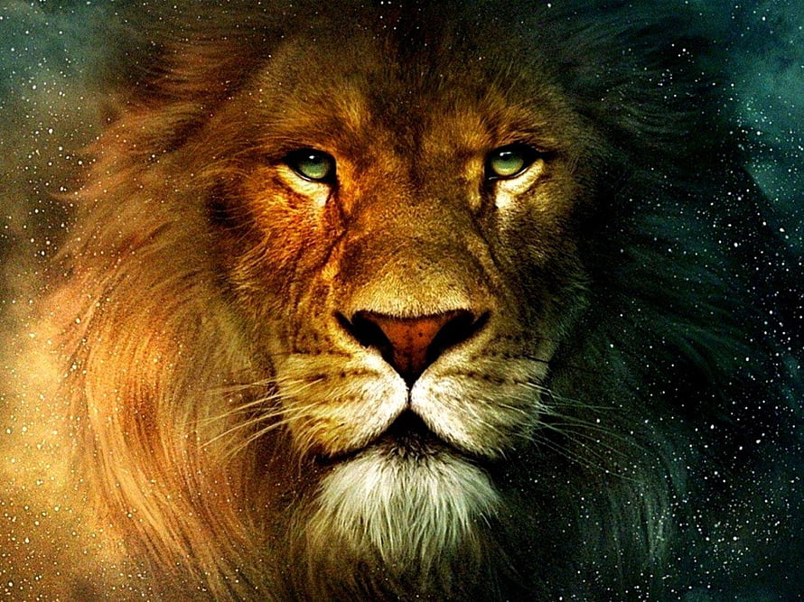 Majestic Male Lion Portrait with Intense Green Eyes and Dramatic Starry Background HD wallpaper