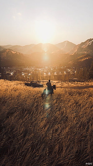 Lone Rider on Horseback in Golden Grassland with Mountain Valley and Town at Sunset HD phone wallpaper