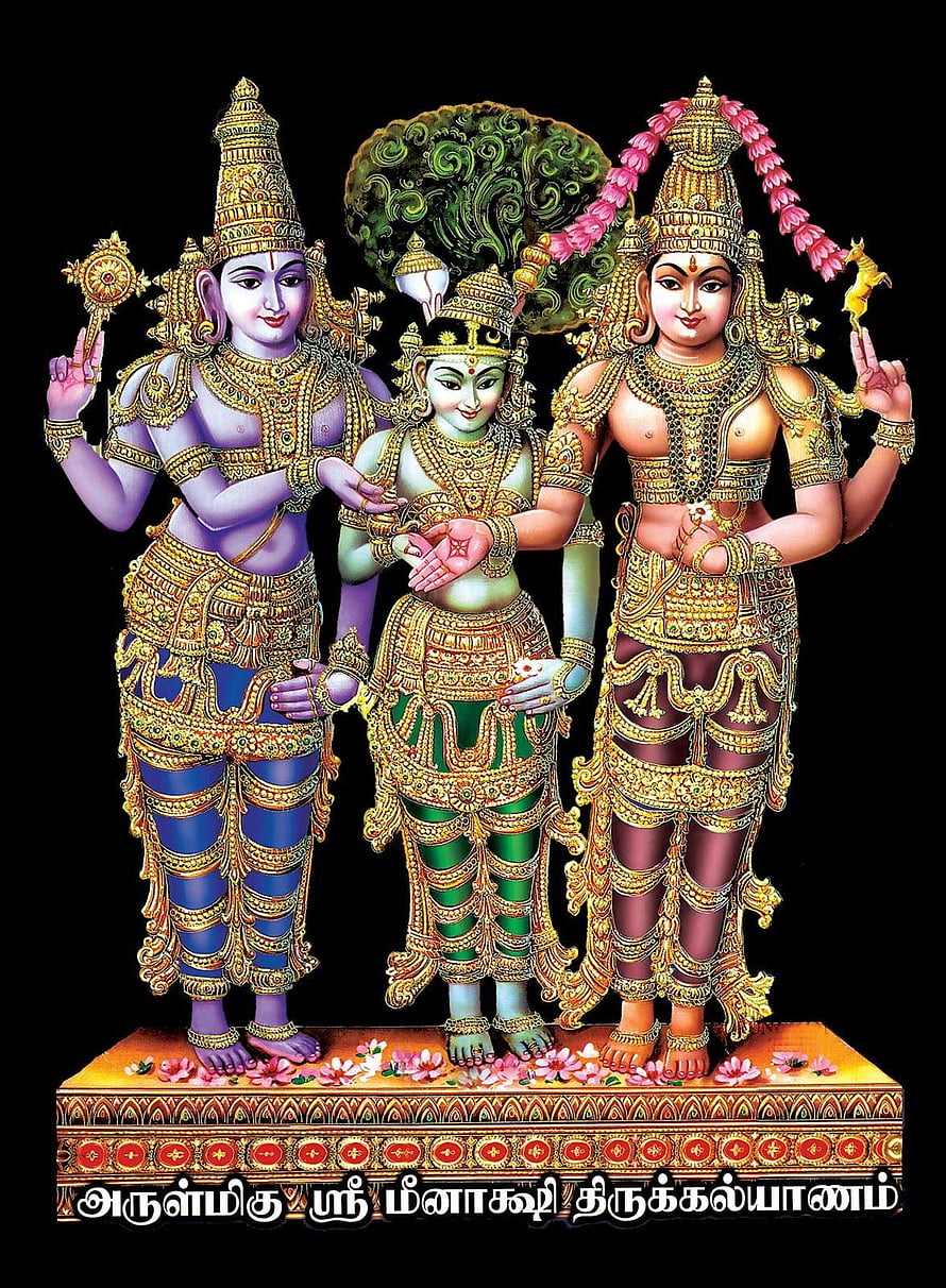 Meenakshi Amman and Sundareswarar Deity Illustration with Ornate Gold Jewelry HD phone wallpaper