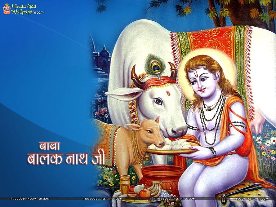Baba Balak Nath with White Cow and Calf in Traditional Indian Painting Style HD wallpaper