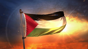 Palestine National Flag Waving Against Dramatic Sunset Sky HD wallpaper
