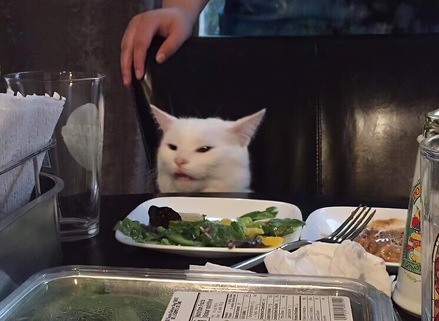 White Cat Peeking Over Restaurant Table With Salad Plate HD wallpaper