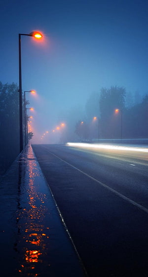 Foggy Night Highway With Glowing Street Lights And Wet Road Reflections HD phone wallpaper