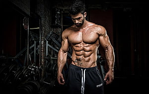 Muscular Bodybuilder Posing in Dark Gym with Dumbbells and Weight Plates HD wallpaper
