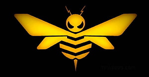 Glowing Bumblebee Insect Emblem on Black Background HD wallpaper