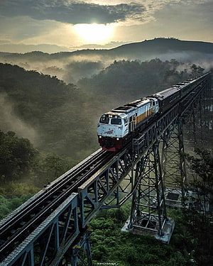 Indonesian passenger train crossing a steel trestle viaduct through misty tropical hills at sunrise HD phone wallpaper