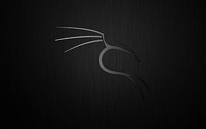 Minimalist Dragon Head Line Art on Dark Brushed Metal Background HD wallpaper