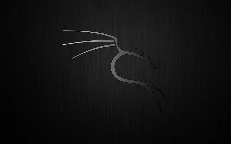 Minimalist Dragon Head Line Art on Dark Brushed Metal Background HD wallpaper