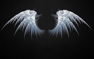 Ethereal White Angel Wings Spread Against a Dark Textured Background HD wallpaper