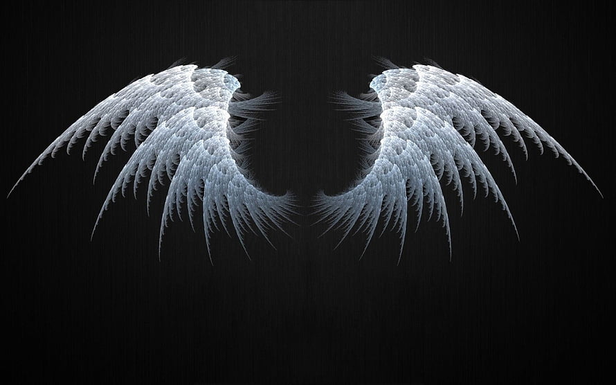 Ethereal White Angel Wings Spread Against a Dark Textured Background HD wallpaper