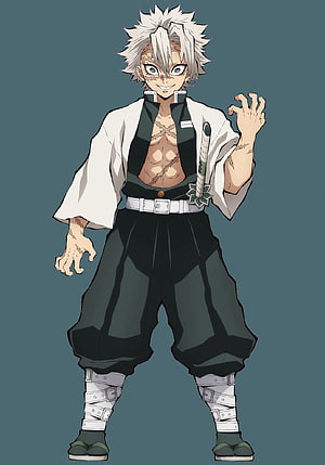 Sanemi Shinazugawa Demon Slayer Character Art with Scars and Katana HD phone wallpaper
