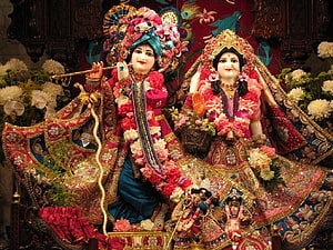 Radha Krishna Temple Deities Adorned in Traditional Indian Attire and Floral Garlands HD wallpaper