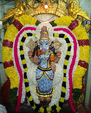 Varahi Amman Temple Idol Adorned With Vibrant Marigold And Jasmine Flower Garlands, Varahi Amman, #varahi HD phone wallpaper