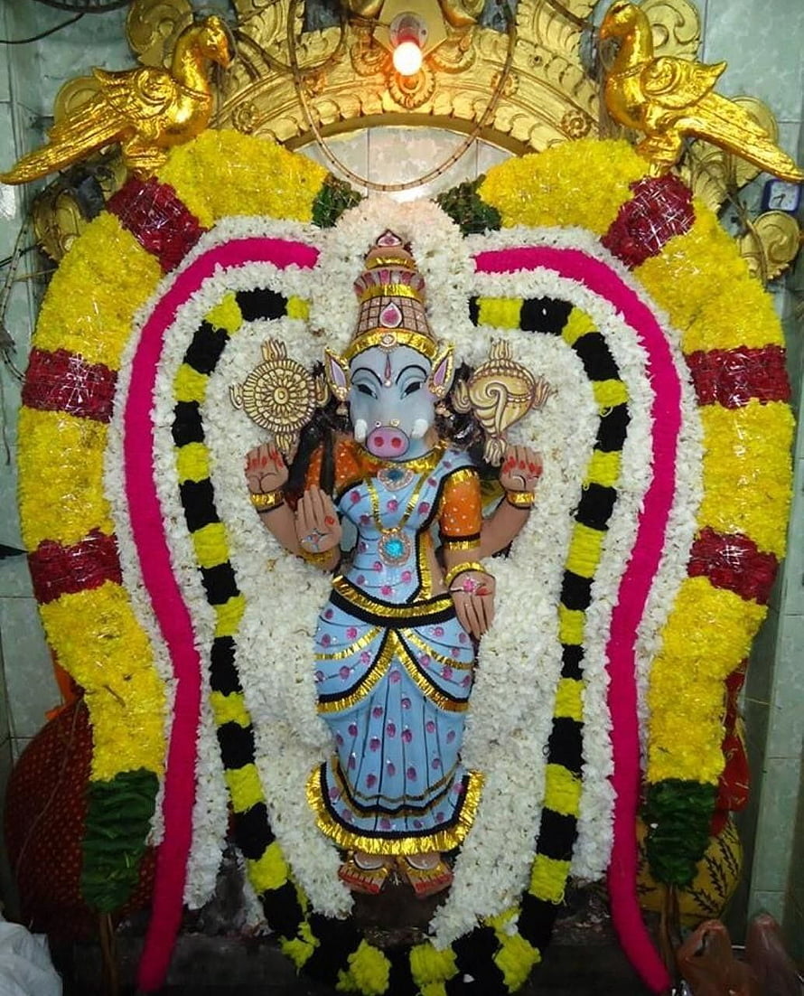 Varahi Amman Temple Idol Adorned With Vibrant Marigold And Jasmine Flower Garlands HD phone wallpaper