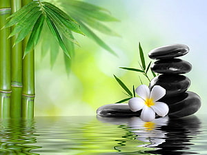 Serene Zen Garden with Bamboo, Stacked Stones, and Plumeria Flower on Water HD wallpaper