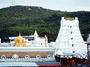 Tirupati Balaji Temple in Tirumala with Golden Shrine and White Gopuram Against Forested Hills HD wallpaper