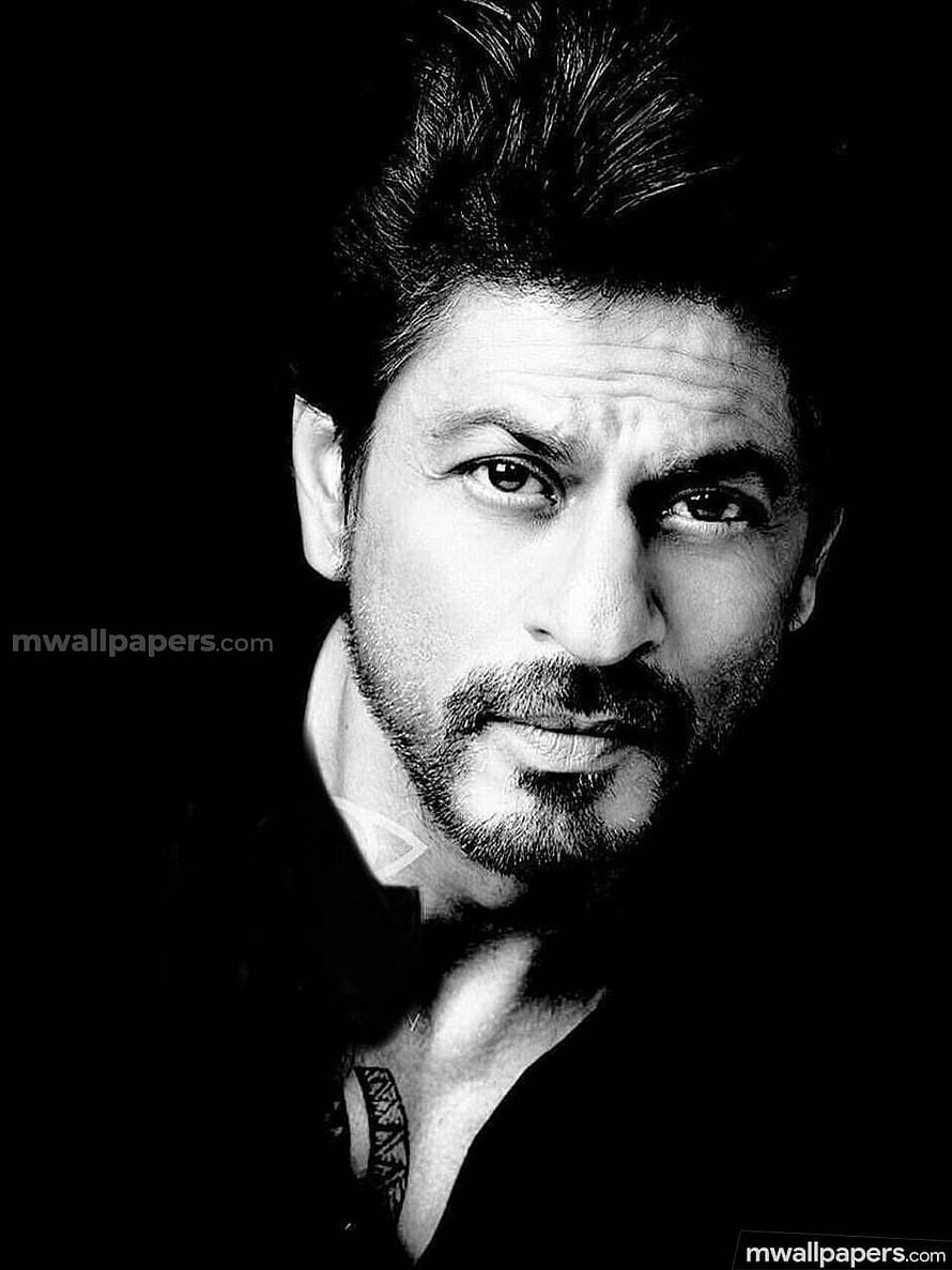Shah Rukh Khan Black and White Portrait with Intense Gaze and Stubble HD phone wallpaper