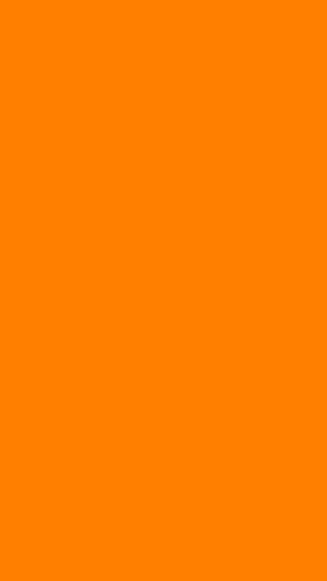 Vibrant Solid Orange Minimalist Color Field for Creative Design Projects HD phone wallpaper