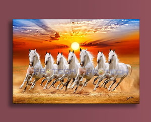 Seven White Horses Galloping Across a Golden Field at Sunset HD wallpaper