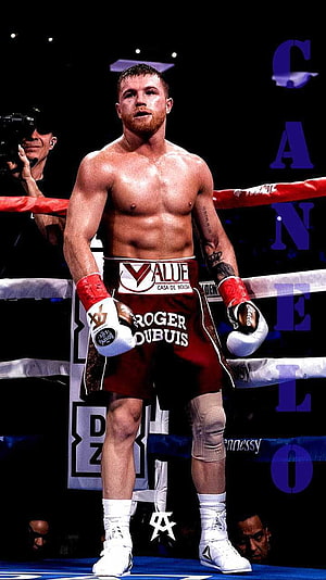 Saul Canelo Alvarez in the Boxing Ring Wearing Red Trunks and Gloves HD phone wallpaper