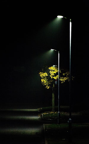 Autumn tree illuminated by streetlights on a misty night road HD phone wallpaper