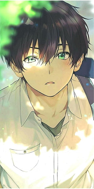 Anime Boy With Green Eyes And Dark Hair In White Shirt Under Dappled Sunlight HD phone wallpaper