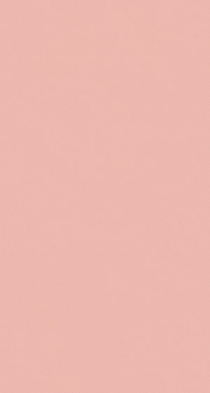 Soft Blush Pink Pastel Plain Color Background HD phone wallpaper