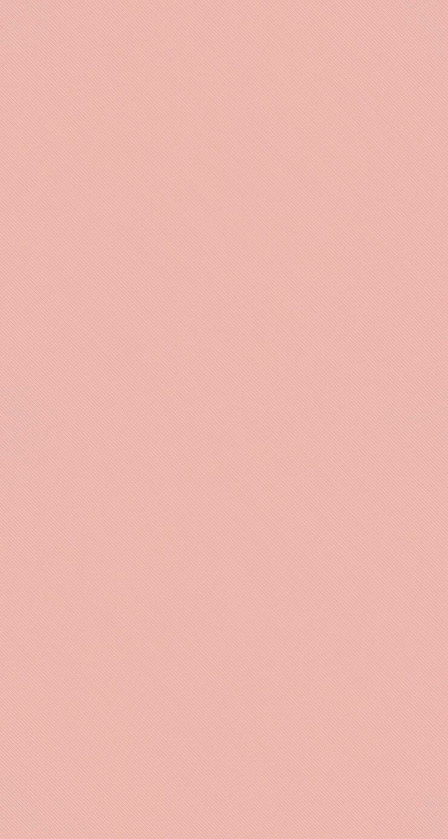 Soft Blush Pink Pastel Plain Color Background HD phone wallpaper