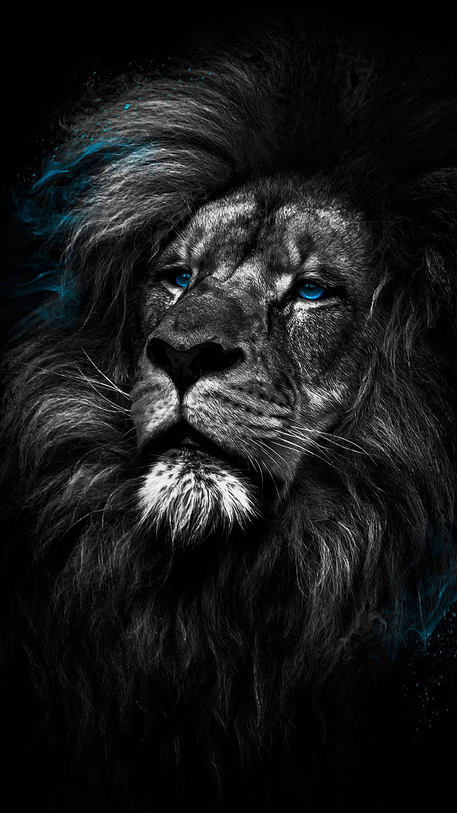 Majestic Black Lion Portrait with Glowing Blue Eyes and Cyan Smoke Accents HD phone wallpaper
