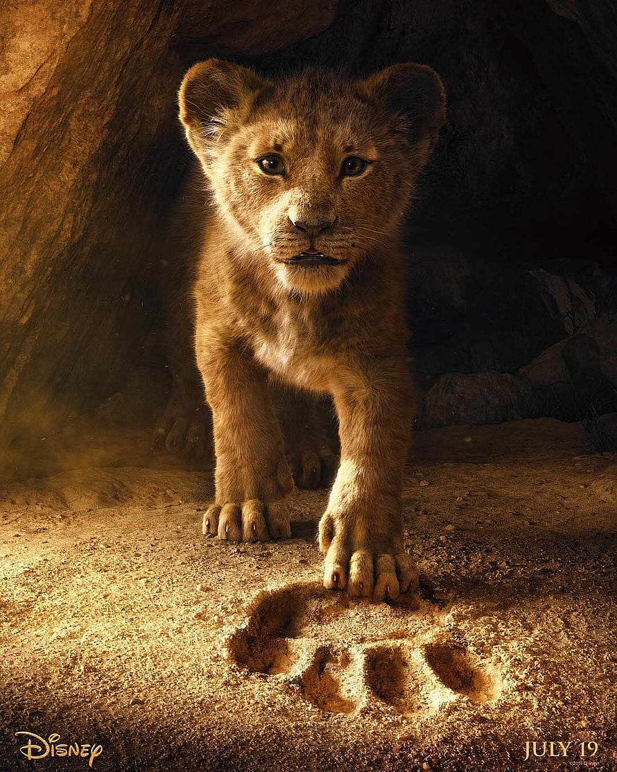 Simba the Lion Cub Stepping Into a Paw Print in The Lion King 2019 HD phone wallpaper