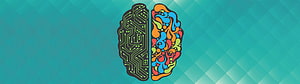 Split Brain Illustration Featuring Circuit Board and Colorful Abstract Patterns on Teal Background HD wallpaper
