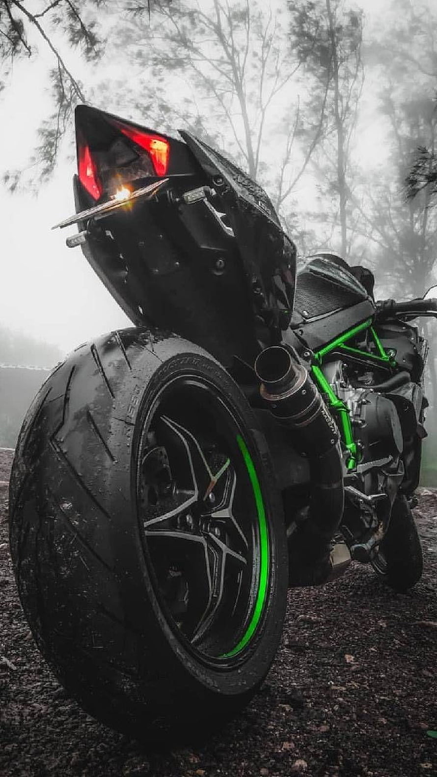 Kawasaki Ninja H2 Superbike Rear View in Foggy Forest Setting HD phone wallpaper