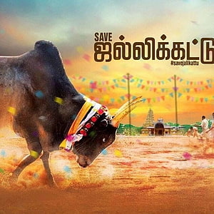 Jallikattu Bull Taming Festival in Tamil Nadu with Decorated Animal and Temple Background HD phone wallpaper