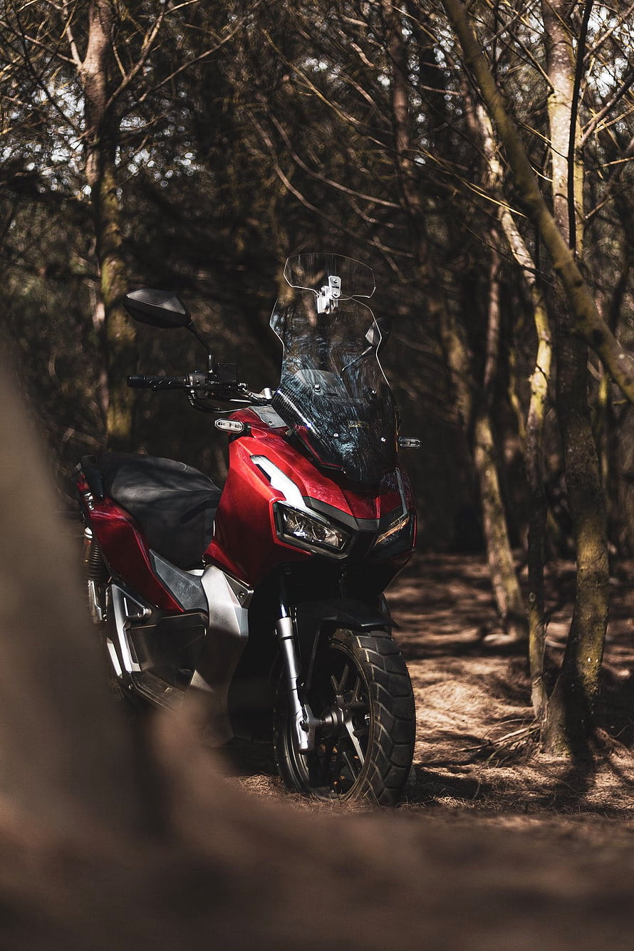 Red Honda ADV 150 Adventure Motorcycle Parked on a Forest Trail HD phone wallpaper