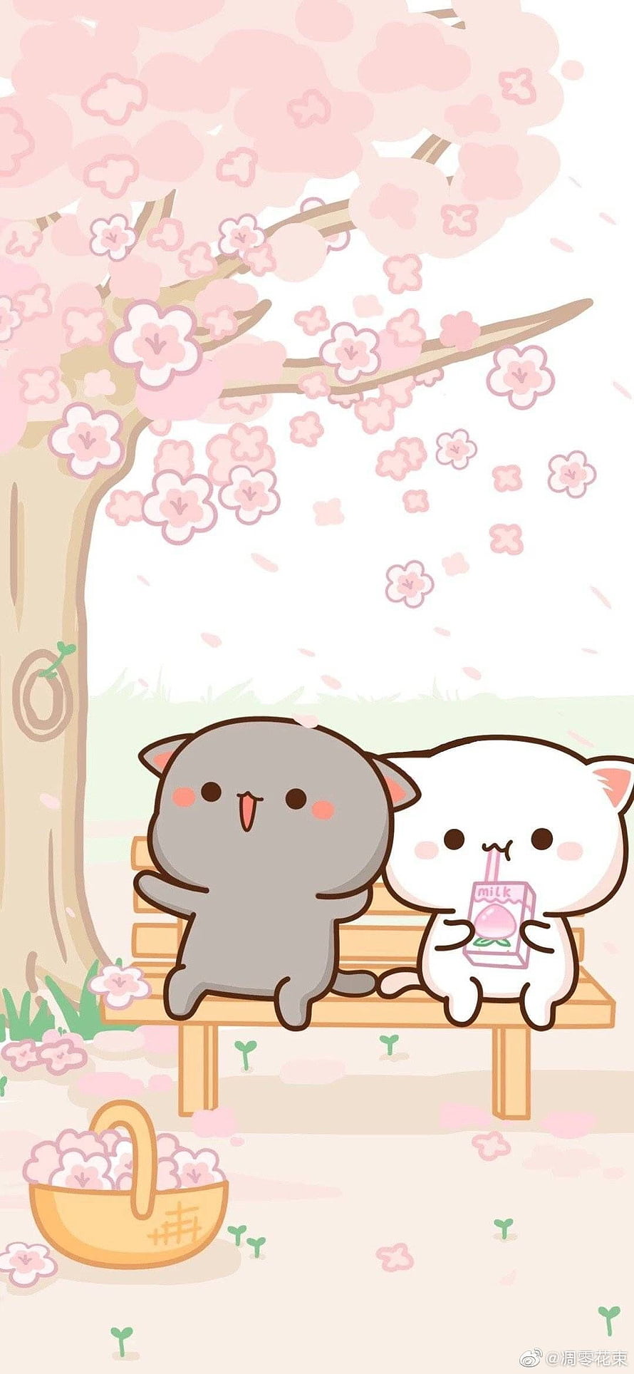 Milk Mocha and Goma Sitting on a Bench Under a Cherry Blossom Tree HD phone wallpaper